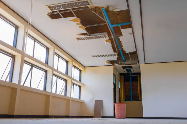 Best Fire Damage Restoration  in Logan Elm Village, OH
