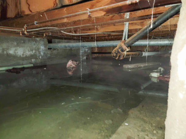 Trusted Logan Elm Village, OH Water damage restoration Experts