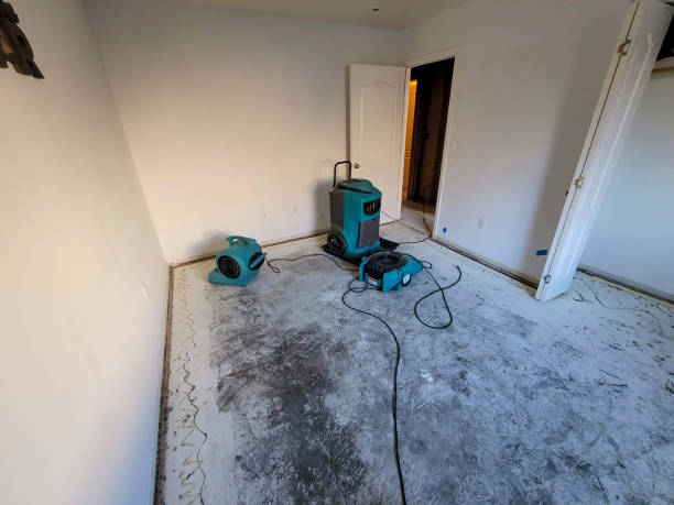 Best Sewage cleanup and water damage restoration  in Logan Elm Village, OH