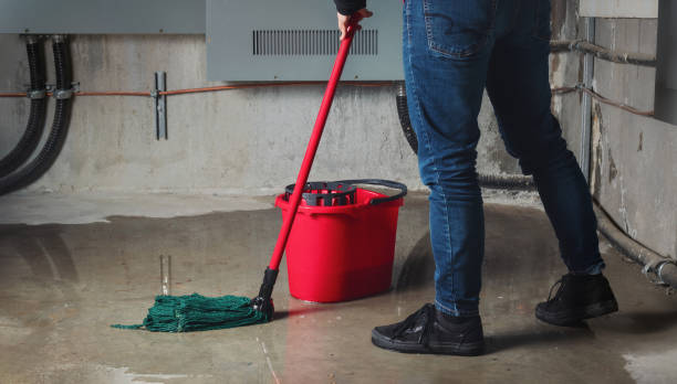 Best Water damage restoration near me  in Logan Elm Village, OH
