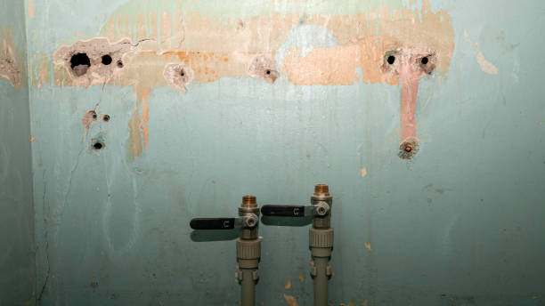Best Water damage cleanup near me  in Logan Elm Village, OH