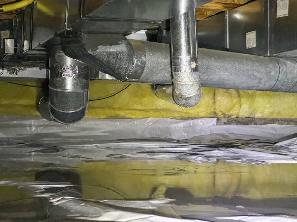 Best Basement water damage restoration  in Logan Elm Village, OH