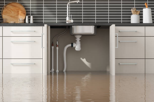 Best Flood restoration services  in Logan Elm Village, OH