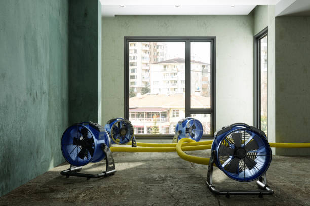 Best Flood restoration services  in Logan Elm Village, OH